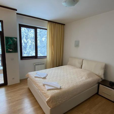 בורובץ Charming Winter Studio מראה חיצוני תמונה